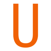 2025 icon
